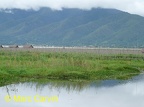 Lac Inle